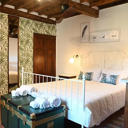 Casa vacanze Cleo's House *